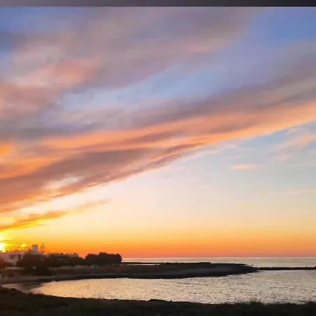 Adele * 托雷桑塔萨宾娜